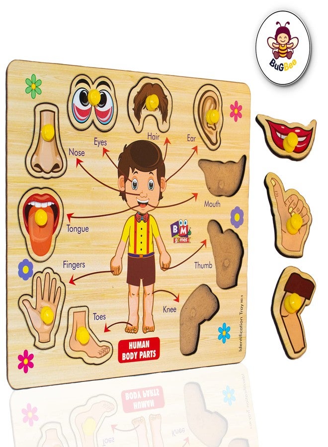 BuGBee Body Parts Toddler Puzzles For Kids Ages 2-4-8 Montessori Wooden Puzzles For Children 3-5 Years Old Preschool Game For Learning Human Body Parts Anatomy Skeleton - Gift Toys For Boy And Girl - Image 2